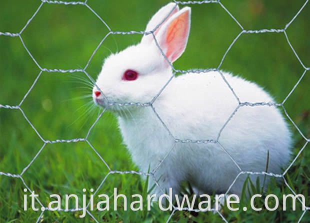 Rabbit mesh 